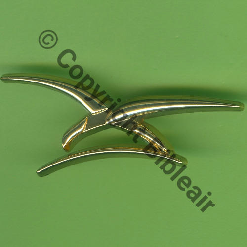 CHAROGNARD CALOT AAE 2023 Grand Modele 52mm  BERAUDY VAURE Dos lisse scintillant 2attach PINS Src.Y.GENTY 